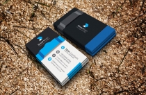 Creative Corporate Business Card Screenshot 3
