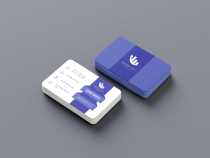 Corporate Business Card  Design  Screenshot 3